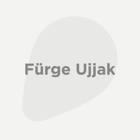 Fürge ujjak