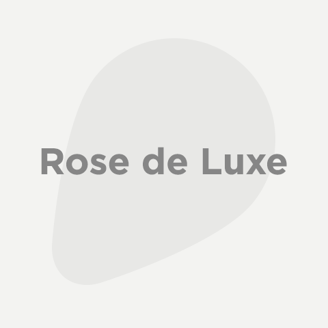 Rose de luxe